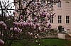 bild 15 - (c) c tussing.jpg